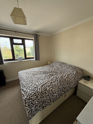 Photo 20- click for photo gallery